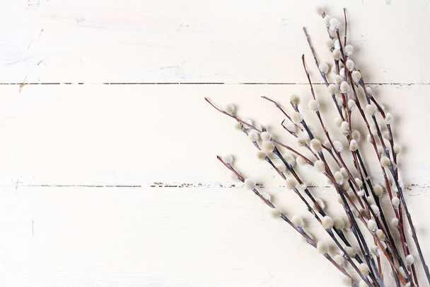 salgueiro em um fundo de madeira vintage branco Composição da primavera Páscoa
 - Foto, Imagem