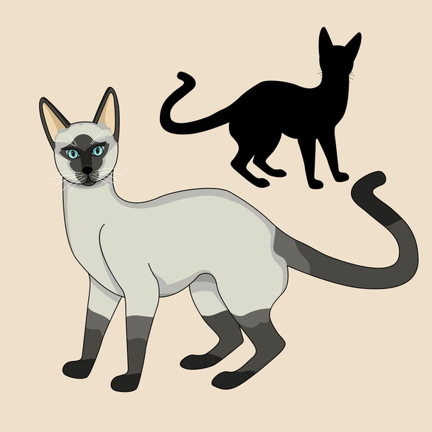 sada pro dospělé siamská kočka realistické černá silueta - Vektor, obrázek