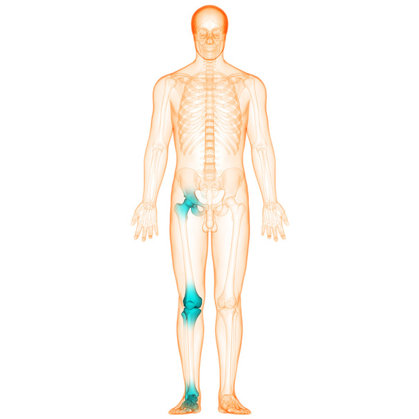 Ανθρώπινο σώμα πόνους στις αρθρώσεις των οστών - Φωτογραφία, εικόνα