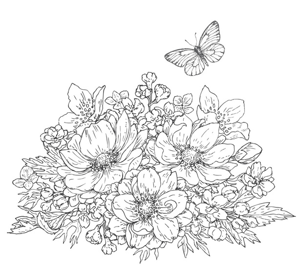 Anemone flowers and butterfly sketch - Vektör, Görsel
