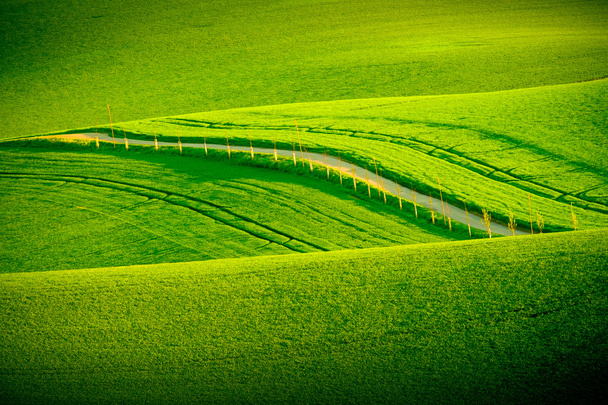 Colinas onduladas verdes na Morávia do Sul
 - Foto, Imagem