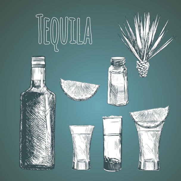 Glass and botlle of tequila. - Vector, Image