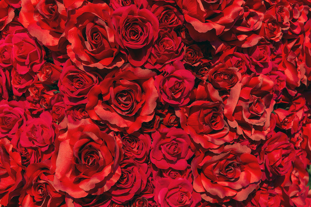 Rode kleur weefsel rozen achtergrond - Foto, afbeelding