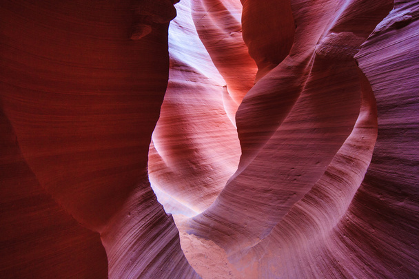 Murs de grès colorés des canyons d'antilope supérieure et inférieure près de Page, Arizona
 - Photo, image