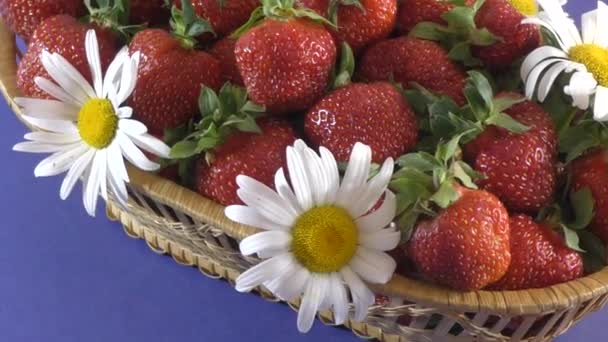 φρέσκο και ζουμερό φράουλα - Πλάνα, βίντεο
