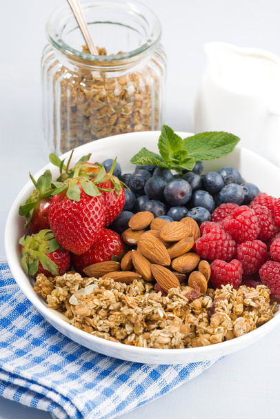 healthy nutritious breakfast with cereal and fresh berries - Photo, Image