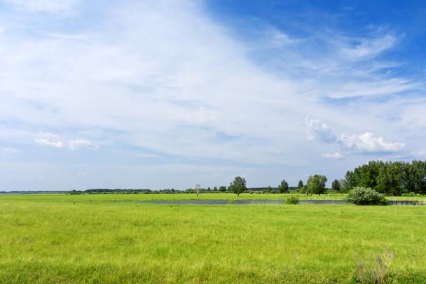 green field background - Photo, Image