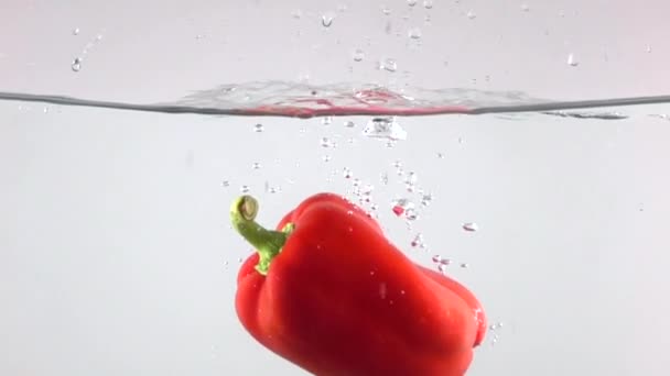 Sweet red pepper falling down in water, white background super slow motion shot - Filmagem, Vídeo
