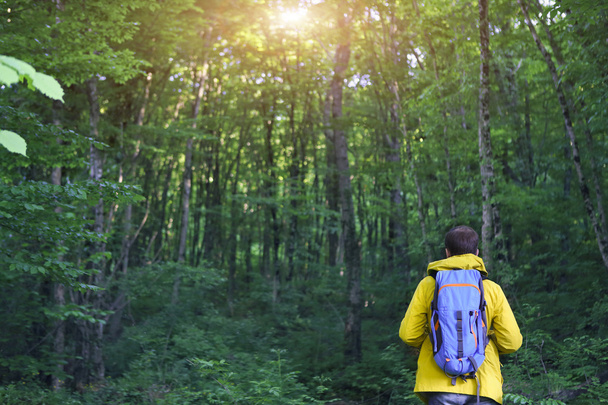 Vista trasera del hombre con mochila senderismo en el bosque
 - Foto, Imagen