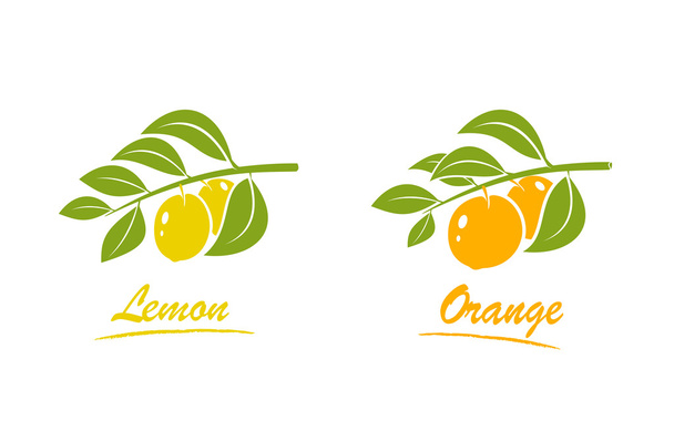 Orange and lemon - Vector, Imagen