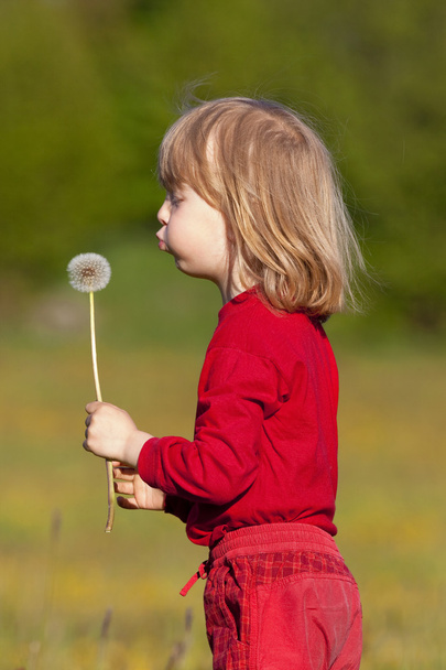 Boy with a dandelion - Photo, Image