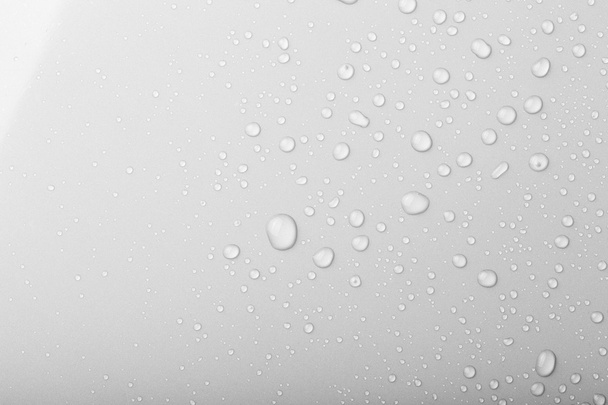 Drops of water on a color background. Gray. Shallow depth of fie - 写真・画像