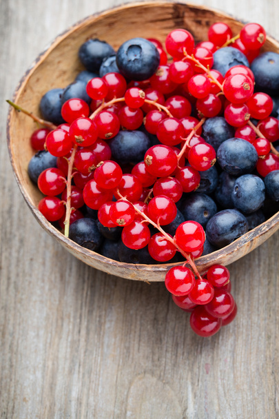 Fresh blueberries and red currant. - Foto, Imagen