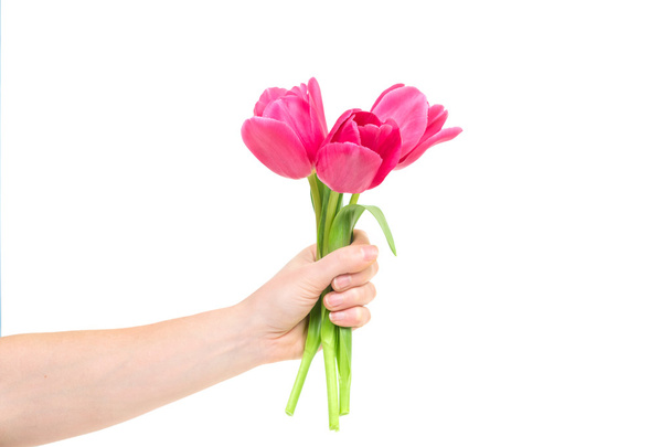 Woman hand with tulips - Фото, зображення