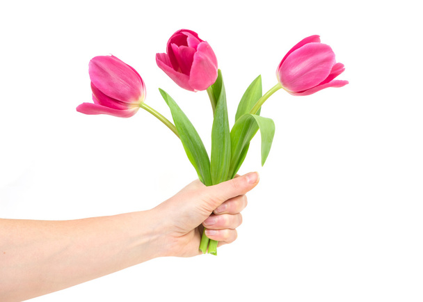 Woman hand with tulips - Fotoğraf, Görsel
