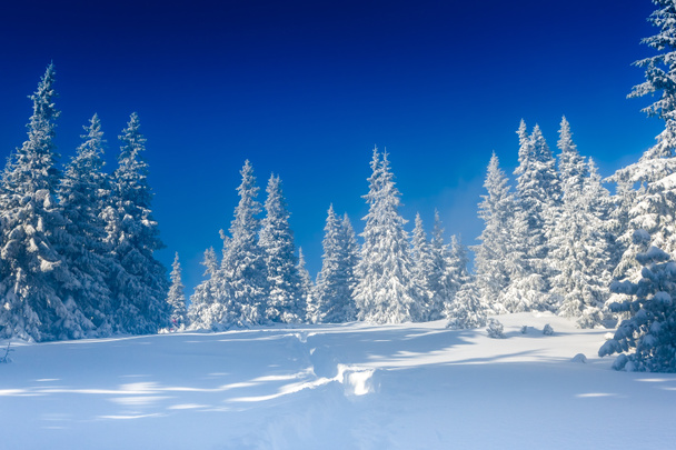 Paysage hivernal en montagne - Photo, image