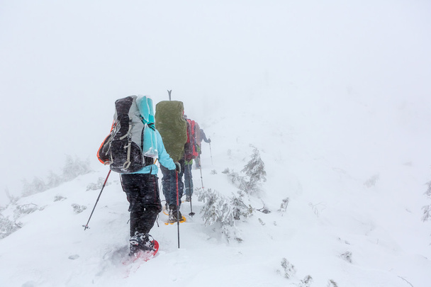 Skupina horolezců v zimě - Fotografie, Obrázek