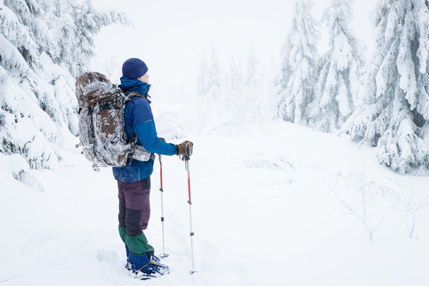Hiker walks in snowy forest - Fotografie, Obrázek
