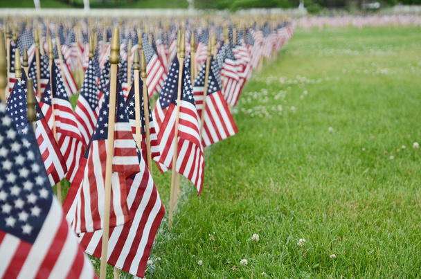 Αμερικανικές σημαίες στο δημοτικό πάρκο - Φωτογραφία, εικόνα