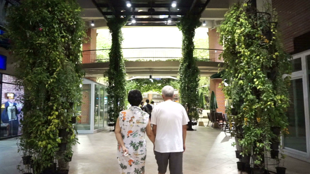 Asiática familia caminando pasar tiempo juntos en al aire libre compras plaza
 - Imágenes, Vídeo