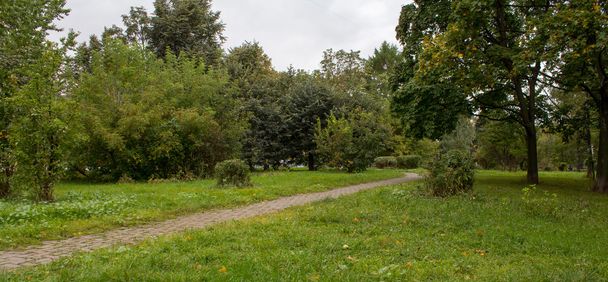 Park in the early autumn - Fotoğraf, Görsel