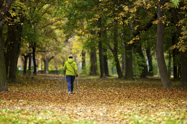 Північні ходьбі жінка в яскраві осінній ліс - Фото, зображення