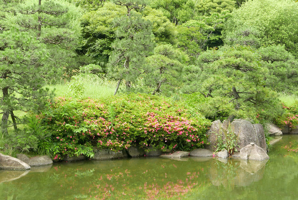 Lake, green plant, tree, flower in Japanese zen garden  - Photo, Image