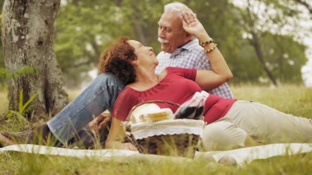 4-Pareja de ancianos en cámara lenta Hombre y mujer mayores haciendo picnic
 - Metraje, vídeo