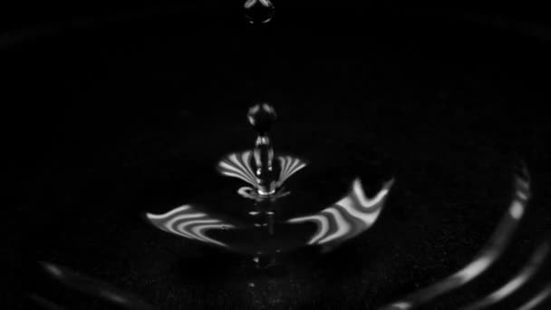 Super slow motion low key macro video of several water drops falling in water - Metraje, vídeo