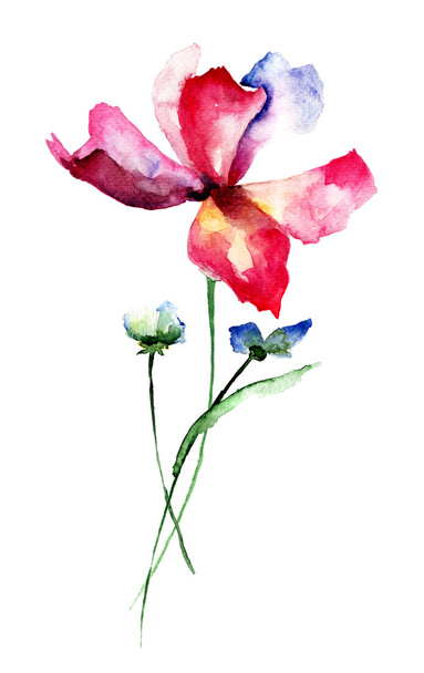 Beautiful flowers, watercolor illustration - Fotoğraf, Görsel