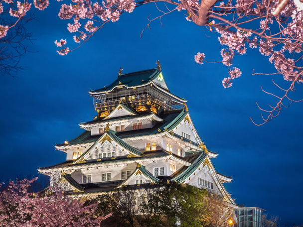 Castelo de Osaka entre árvores de flor de cerejeira (sakura) à noite
  - Foto, Imagem