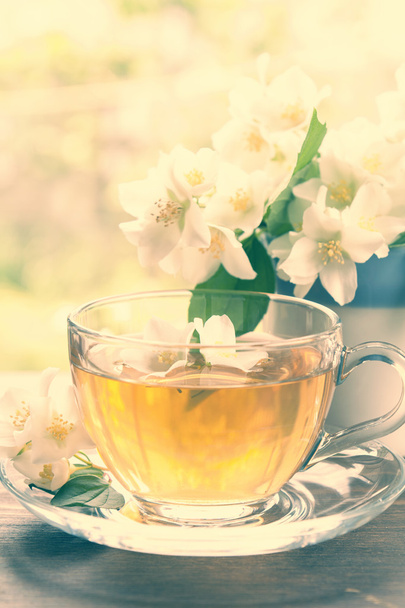 Šálek čaje s Jasmín a kvetoucí Jasmín větev - Fotografie, Obrázek