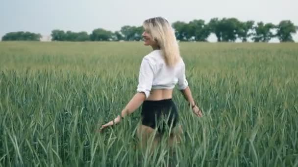 blonde sportive fille caressant mains oreilles de blé dans le champ
 - Séquence, vidéo