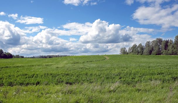 Landscape with rural road through a field - Φωτογραφία, εικόνα