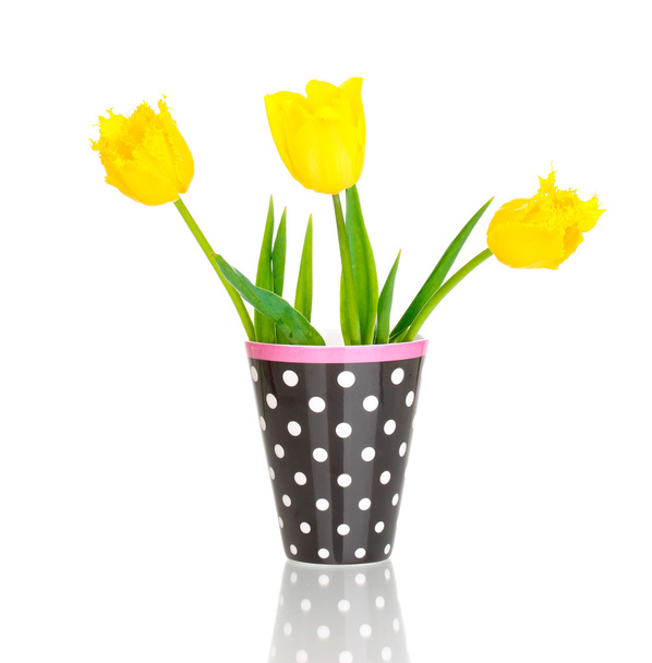 Beautiful tulips in vase isolated on white - Fotó, kép