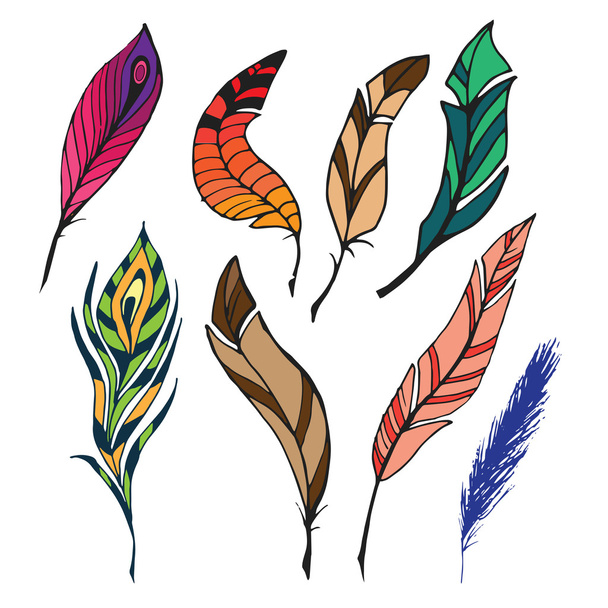 feathers color 0 - Vetor, Imagem
