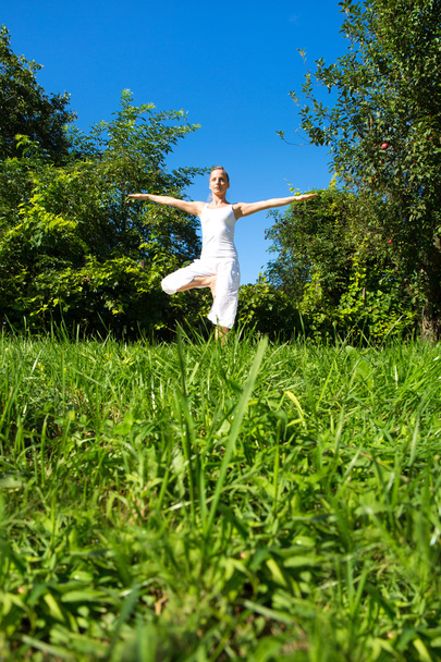 Yoga in the Park - Photo, image