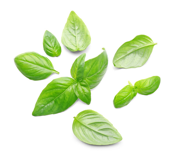 Fresh basil leaves - Фото, зображення