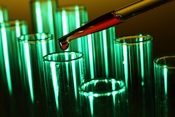 Glass chemistry tubes - Foto, Bild