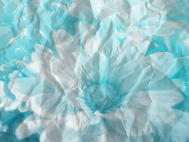 fleurs bleues filtre de couleur de fond sur la texture du papier
 - Photo, image