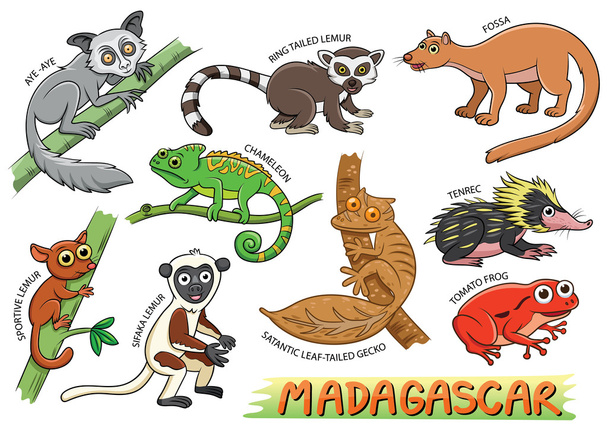 Набор мультфильмов о милых животных на Мадагаскаре
 - Фото, изображение