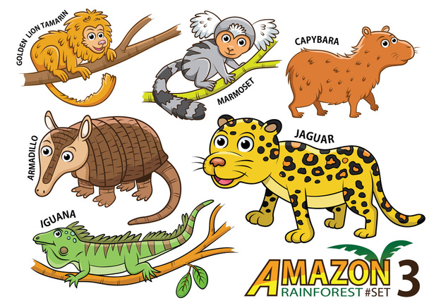 Ensemble de dessins animés mignons Animaux et oiseaux dans les zones amazoniennes de Sou
 - Photo, image