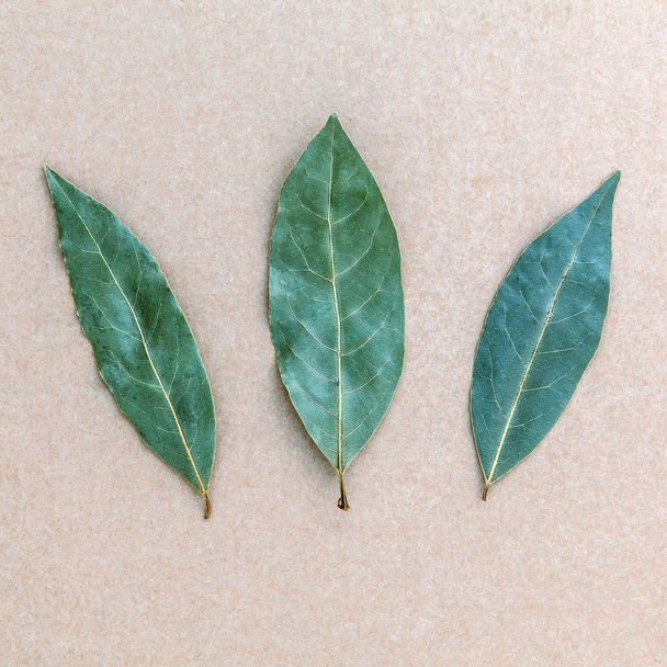 Αποξηραμένο φύλλο δάφνης στο καφέ φόντο, 3 φύλλα Μπέι φόντο. - Φωτογραφία, εικόνα