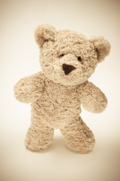 Niedlicher Teddybär - Foto, Bild