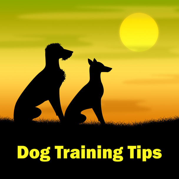 Собака обучение Советы означает щенка собачка и обучение
 - Фото, изображение