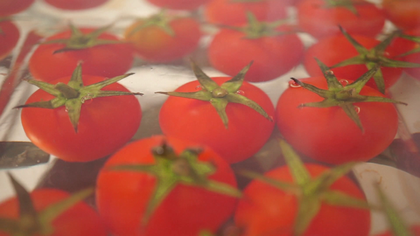 Red cherry tomatoes in a glass pan on a stove, dolly shot - Footage, Video