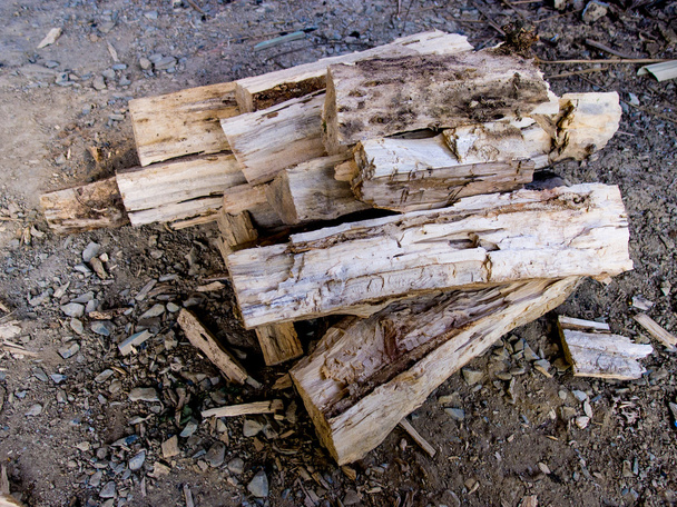 bir yığında yakacak odun - Fotoğraf, Görsel