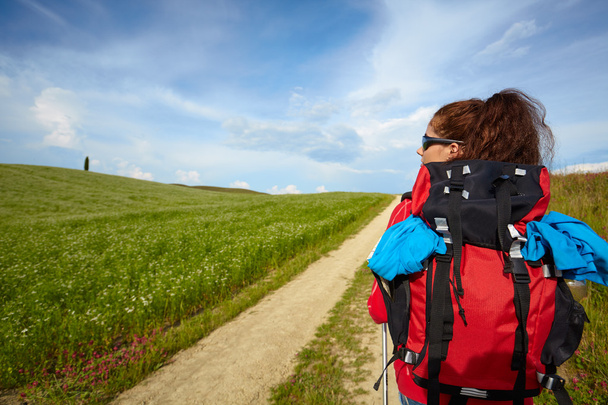 Tourist woman with backpack - Фото, зображення