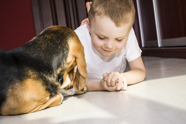 boy plays with a beagle dog - Foto, afbeelding