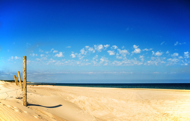 Пляж Балтійського моря на суходолі. - Фото, зображення